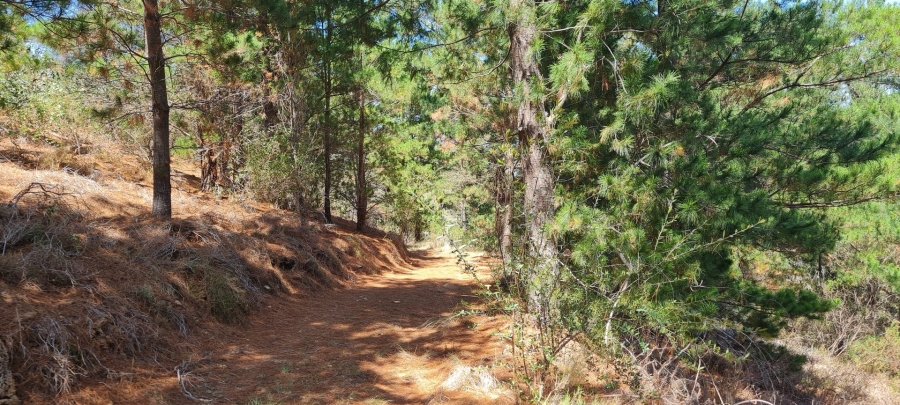 Commercial Property for Sale in Robertson Rural Western Cape